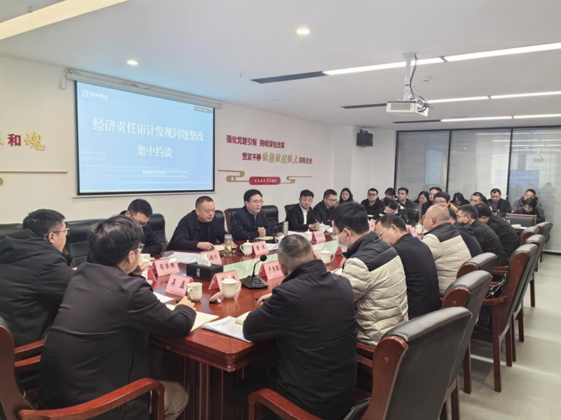 巴中兩山公司召開經濟責任審計發現問題整改集中約談會